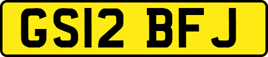 GS12BFJ