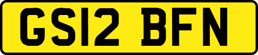 GS12BFN