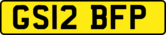 GS12BFP