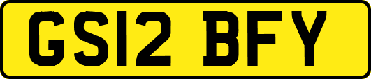 GS12BFY