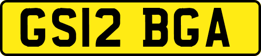 GS12BGA