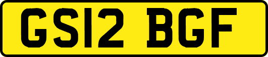 GS12BGF