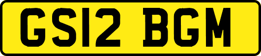 GS12BGM