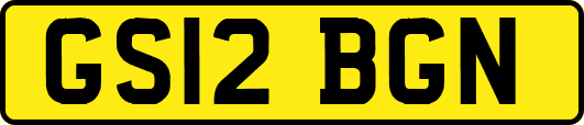 GS12BGN