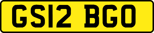 GS12BGO