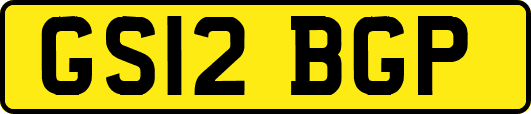 GS12BGP