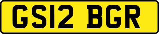 GS12BGR