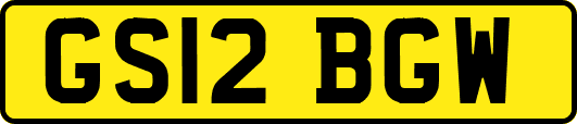 GS12BGW
