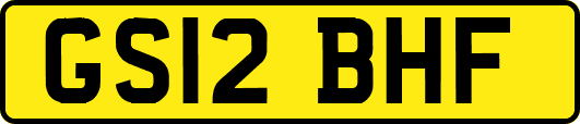 GS12BHF