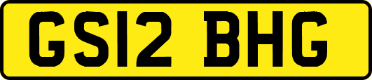 GS12BHG