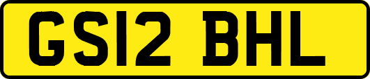 GS12BHL