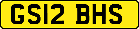 GS12BHS