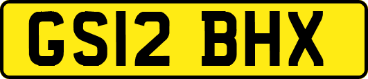 GS12BHX