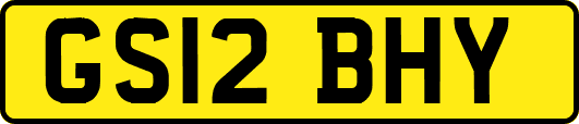 GS12BHY