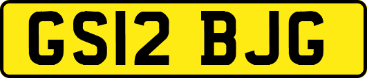 GS12BJG