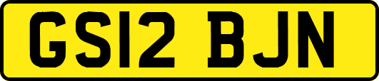GS12BJN