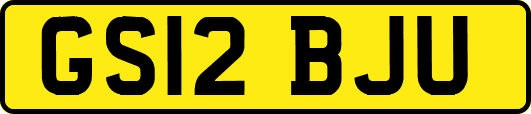 GS12BJU