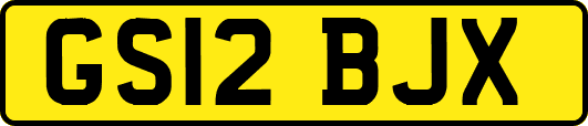 GS12BJX