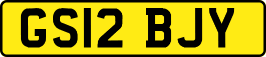 GS12BJY