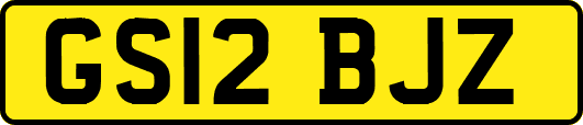 GS12BJZ