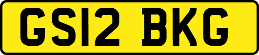 GS12BKG