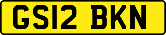 GS12BKN