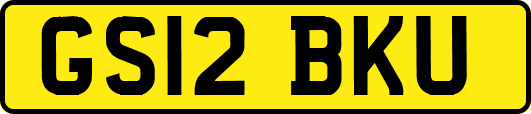 GS12BKU