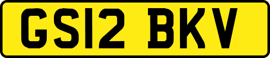 GS12BKV