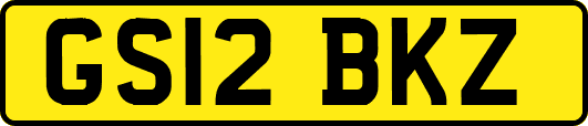 GS12BKZ