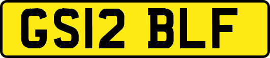 GS12BLF