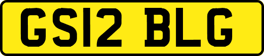 GS12BLG