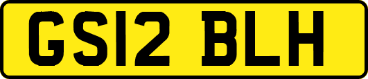 GS12BLH
