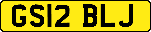 GS12BLJ