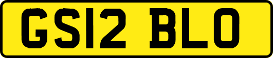 GS12BLO