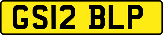 GS12BLP