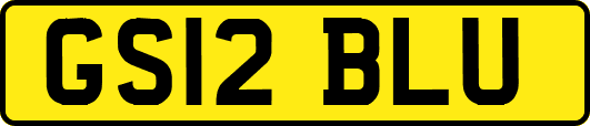 GS12BLU