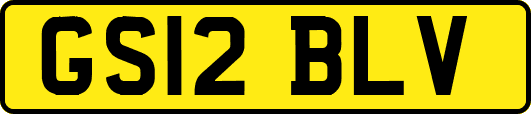 GS12BLV