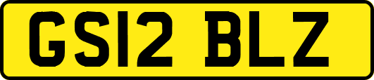 GS12BLZ