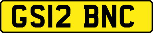 GS12BNC