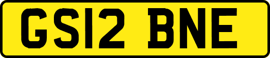 GS12BNE
