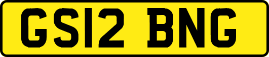 GS12BNG
