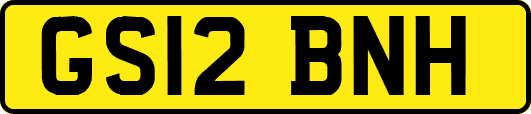 GS12BNH