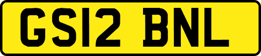 GS12BNL