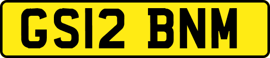 GS12BNM