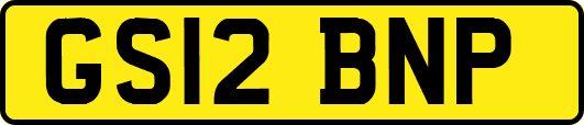 GS12BNP