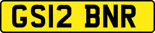 GS12BNR