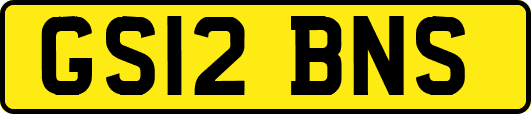 GS12BNS