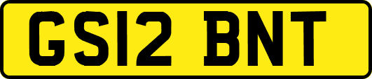 GS12BNT