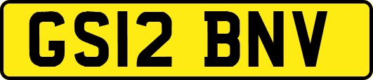 GS12BNV