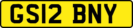 GS12BNY
